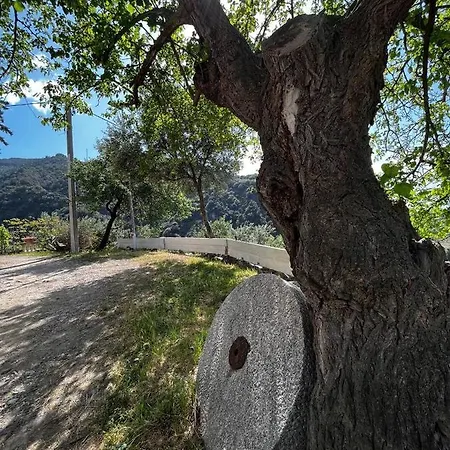 Casa Maria Host - - Rossano * Case San Francesco