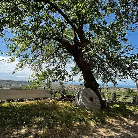 Casa Maria Host - - Rossano Case San Francesco