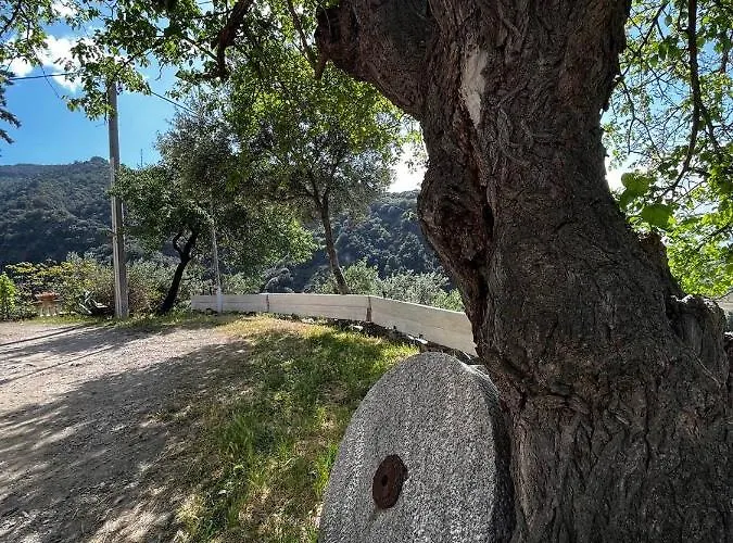 Casa Maria Host - - Rossano * Case San Francesco